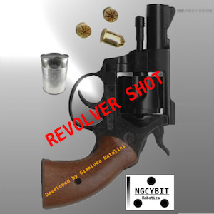 Revolver Shot
